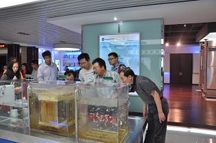 在线精品亚洲一区二区绿巨人