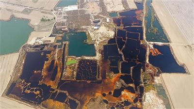 在线精品亚洲一区二区绿巨人