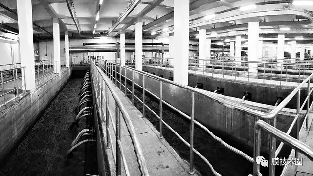 在线精品亚洲一区二区绿巨人