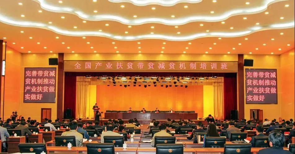 在线精品亚洲一区二区绿巨人