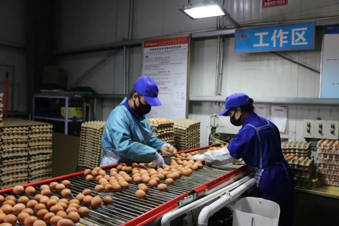 在线精品亚洲一区二区绿巨人