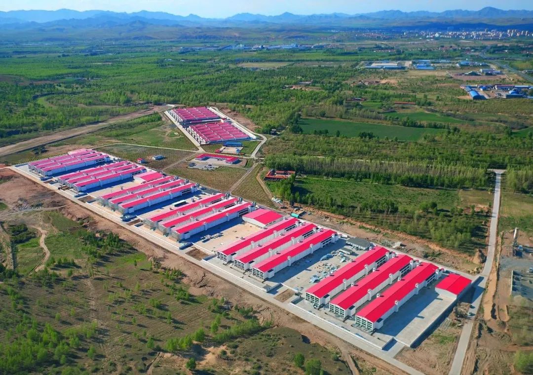 在线精品亚洲一区二区绿巨人