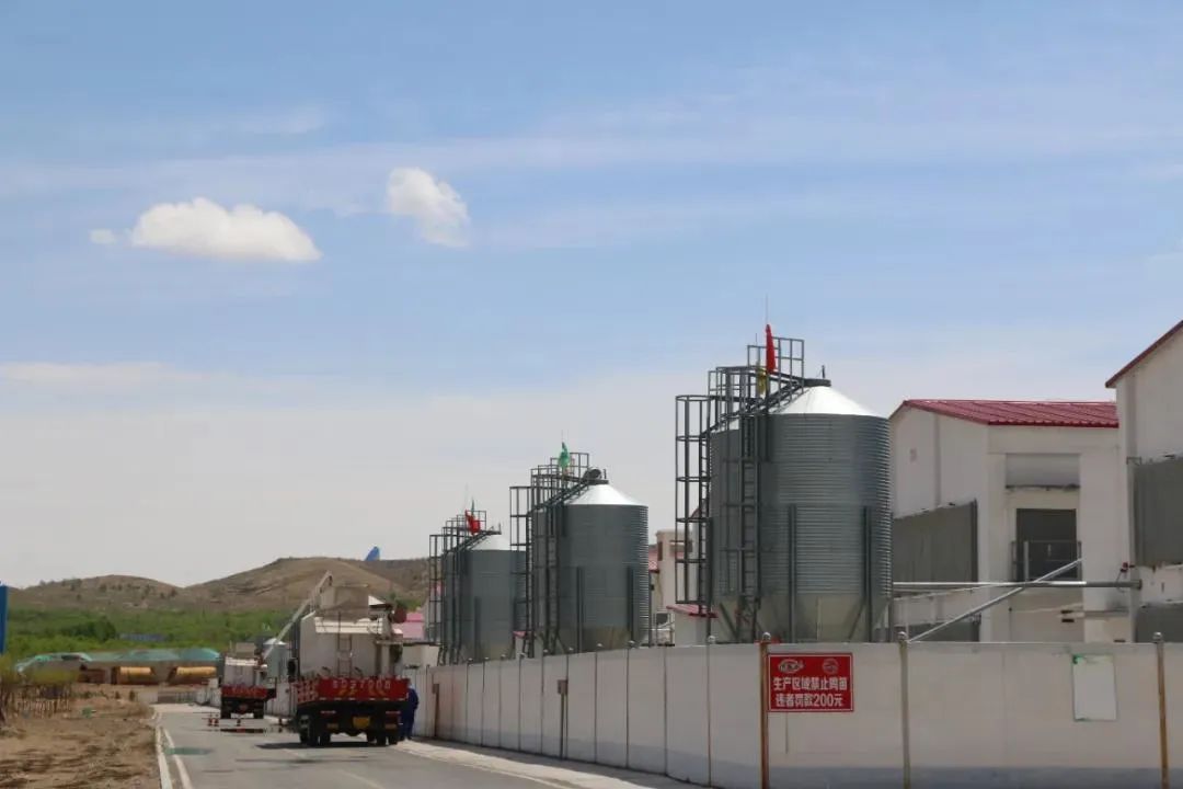 在线精品亚洲一区二区绿巨人