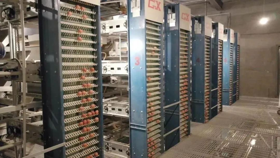 在线精品亚洲一区二区绿巨人