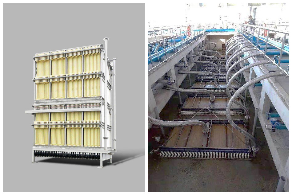 在线精品亚洲一区二区绿巨人