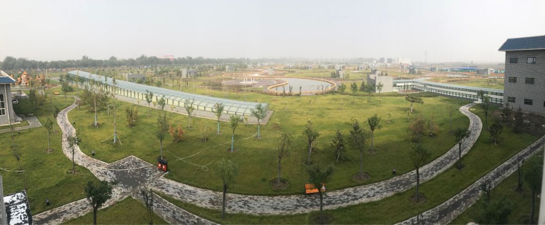 在线精品亚洲一区二区绿巨人