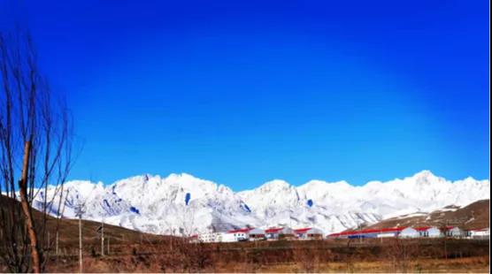 在线精品亚洲一区二区绿巨人