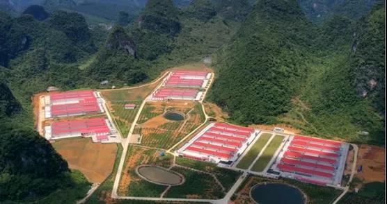 在线精品亚洲一区二区绿巨人