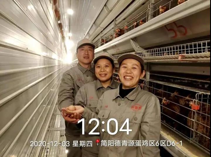 在线精品亚洲一区二区绿巨人