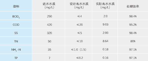 在线精品亚洲一区二区绿巨人