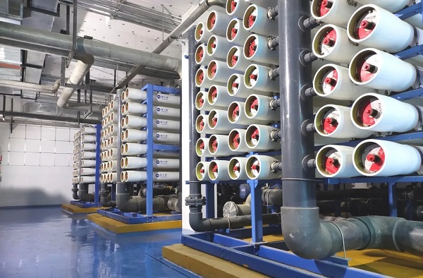 在线精品亚洲一区二区绿巨人