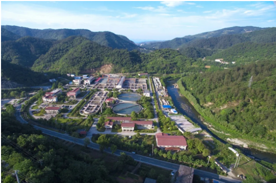 在线精品亚洲一区二区绿巨人