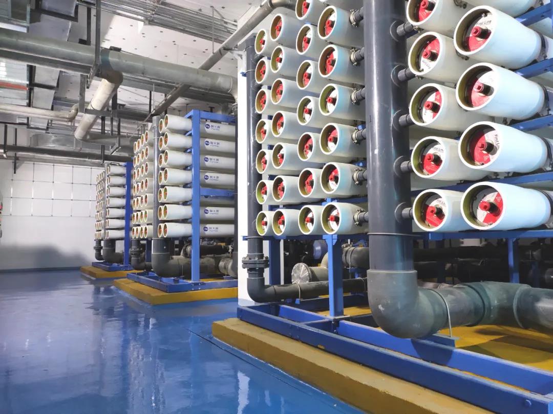 在线精品亚洲一区二区绿巨人