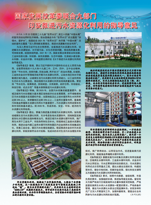 在线精品亚洲一区二区绿巨人