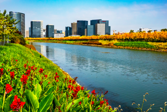 在线精品亚洲一区二区绿巨人