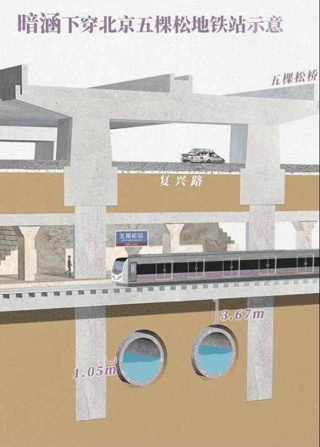 在线精品亚洲一区二区绿巨人