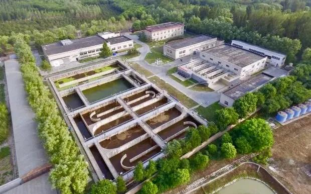 在线精品亚洲一区二区绿巨人