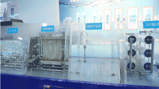 在线精品亚洲一区二区绿巨人