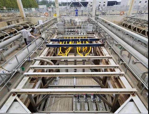 在线精品亚洲一区二区绿巨人