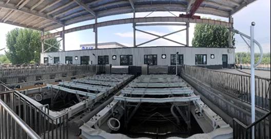 在线精品亚洲一区二区绿巨人